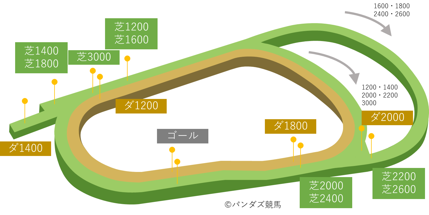 阪神競馬場の血統傾向（コース別ランキング）